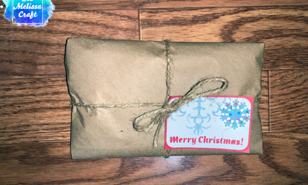 DIY Seasoning Guy Gift